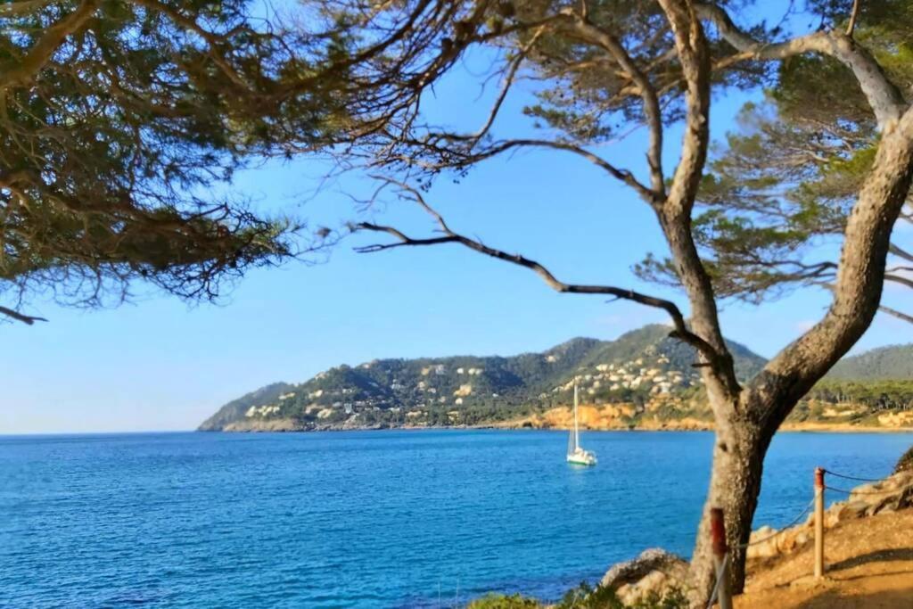 Aptment 4A Sa Calobra With Pool & Terrace Canyamel Capdepera  Zewnętrze zdjęcie